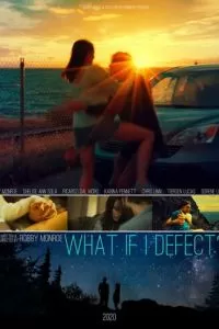 What if I Defect? (2020)