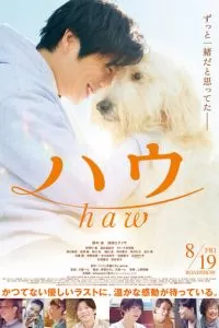 Haw (2022)