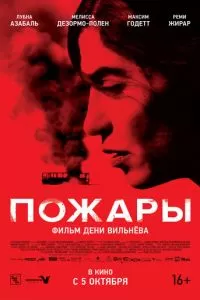 Пожары (2010)